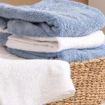 femme de ménage lyon