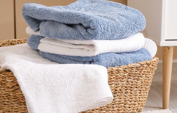 femme de ménage lyon