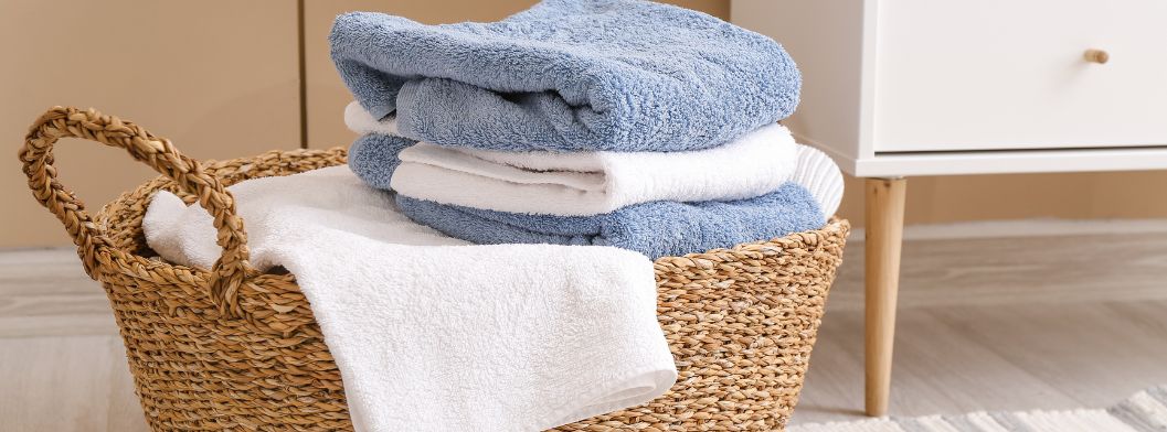 femme de ménage lyon